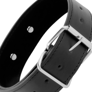 Collare di postura imbottito con guinzaglio in PVC e metallo